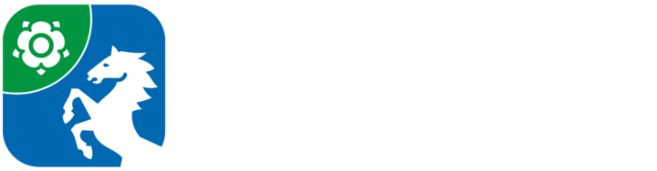 Duales Studium Fachinformatiker (m/w/d)