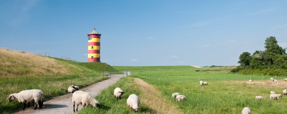 Sicherheitswesen Studium in Niedersachsen