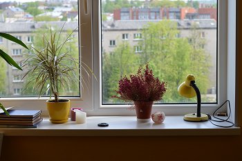 Fensterbank und Blick aus dem Fenster eines Zimmers im Studentenwohnheim