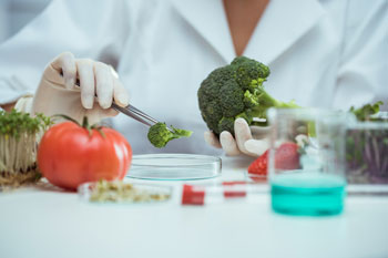 Dualer Student für Ernährung untersucht Brokkoli auf Inhaltsstoffe