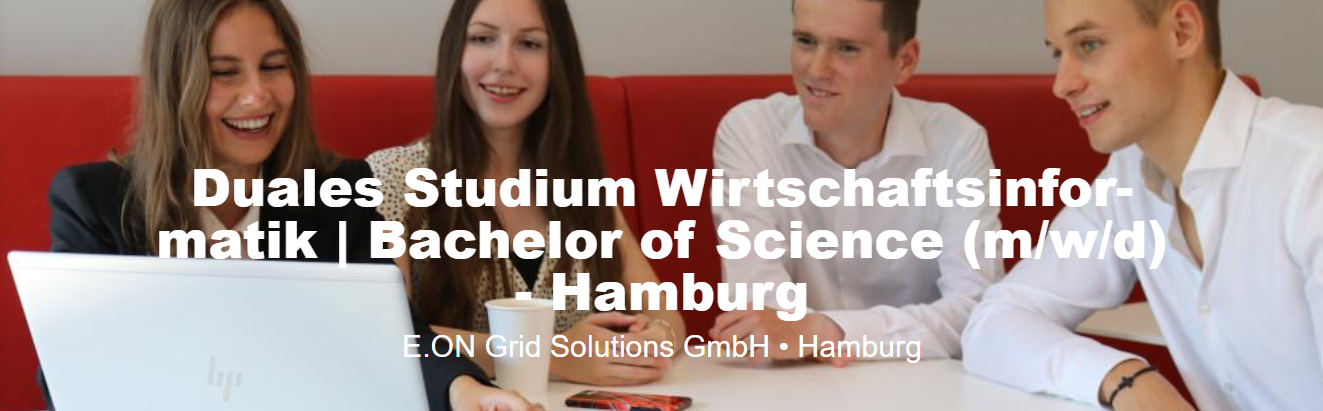 DS Wirtschaftsinformatik