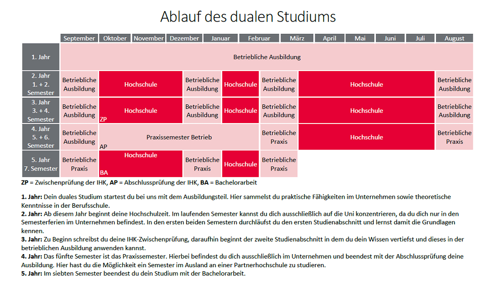 Ablaufplan des dualen Studiums bei der SanData