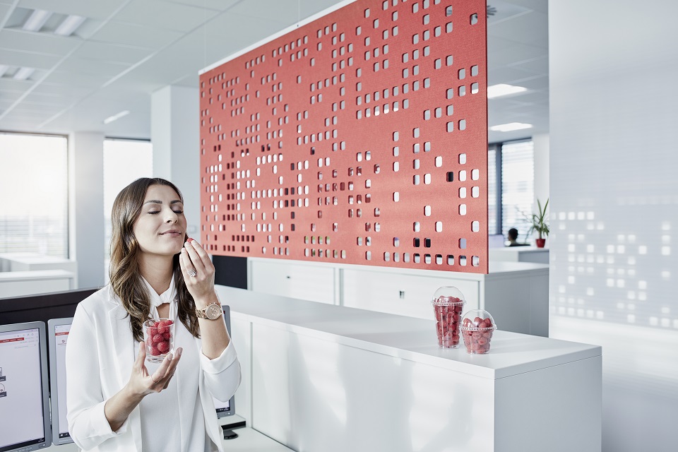 Bild1 SG Steuer TransGourmet 2018 07 02 Frau genießt isst Erdbeeren